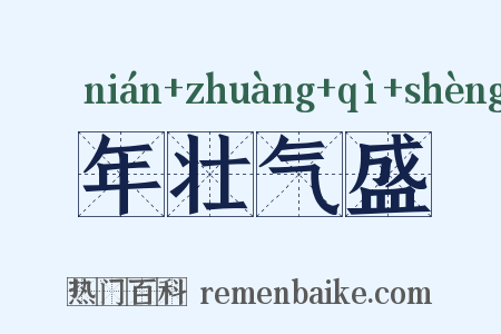年壮气盛是什么意思的图片